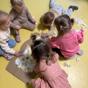 WhatsApp Image 2025-12-11 at 13.31.45 456